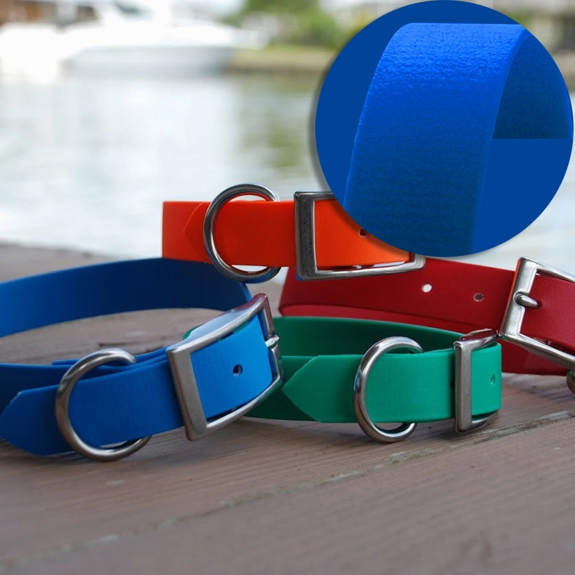 SaltyDog Saltwater Proof Stainless Steel Dog Collars
