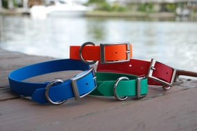 SaltyDog Saltwater Proof Stainless Steel Dog Collars