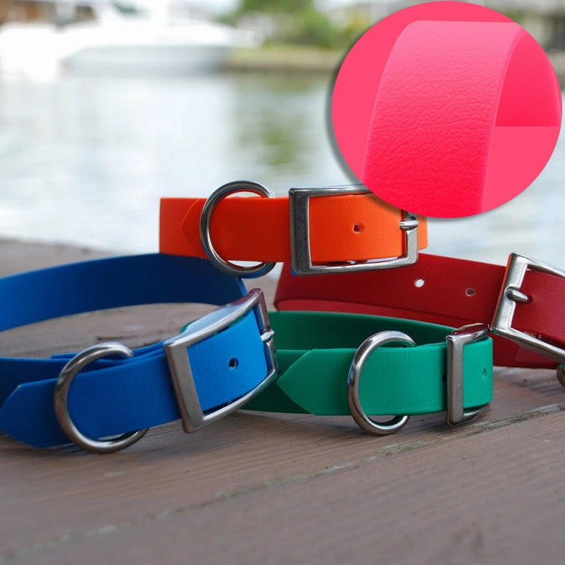 SaltyDog Saltwater Proof Stainless Steel Dog Collars