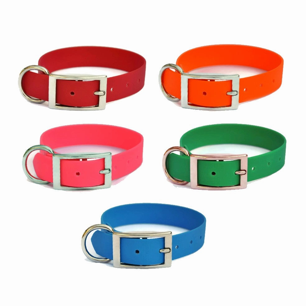 SaltyDog Saltwater Proof Stainless Steel Dog Collars