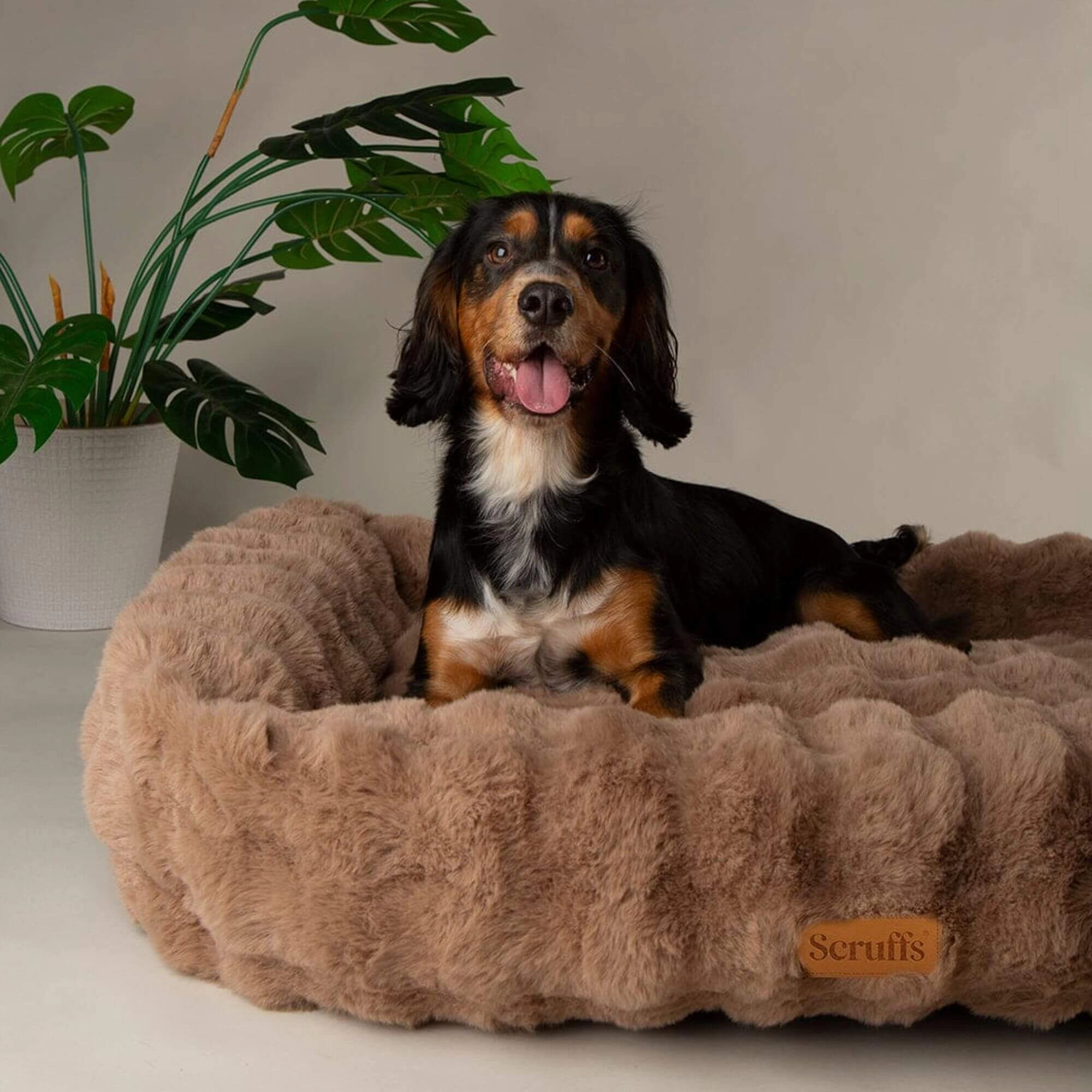 Scruffs Alpine Faux Fur Box Bed for Dogs
