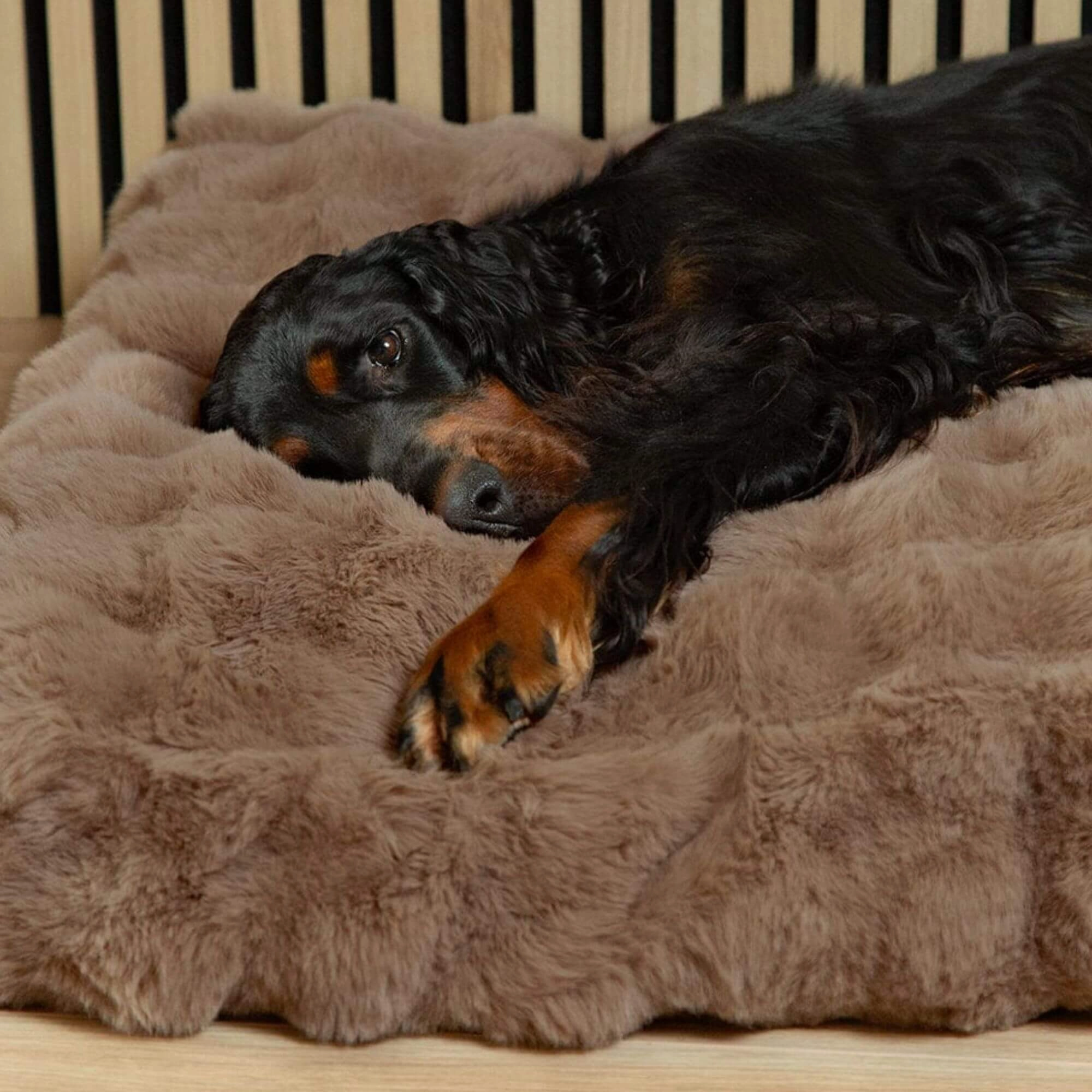 Scruffs Alpine Faux Fur Mattress for Dogs