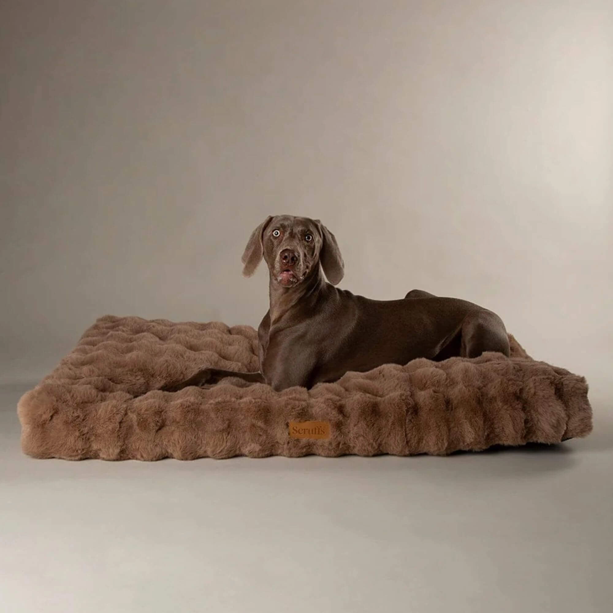Scruffs Alpine Faux Fur Mattress for Dogs