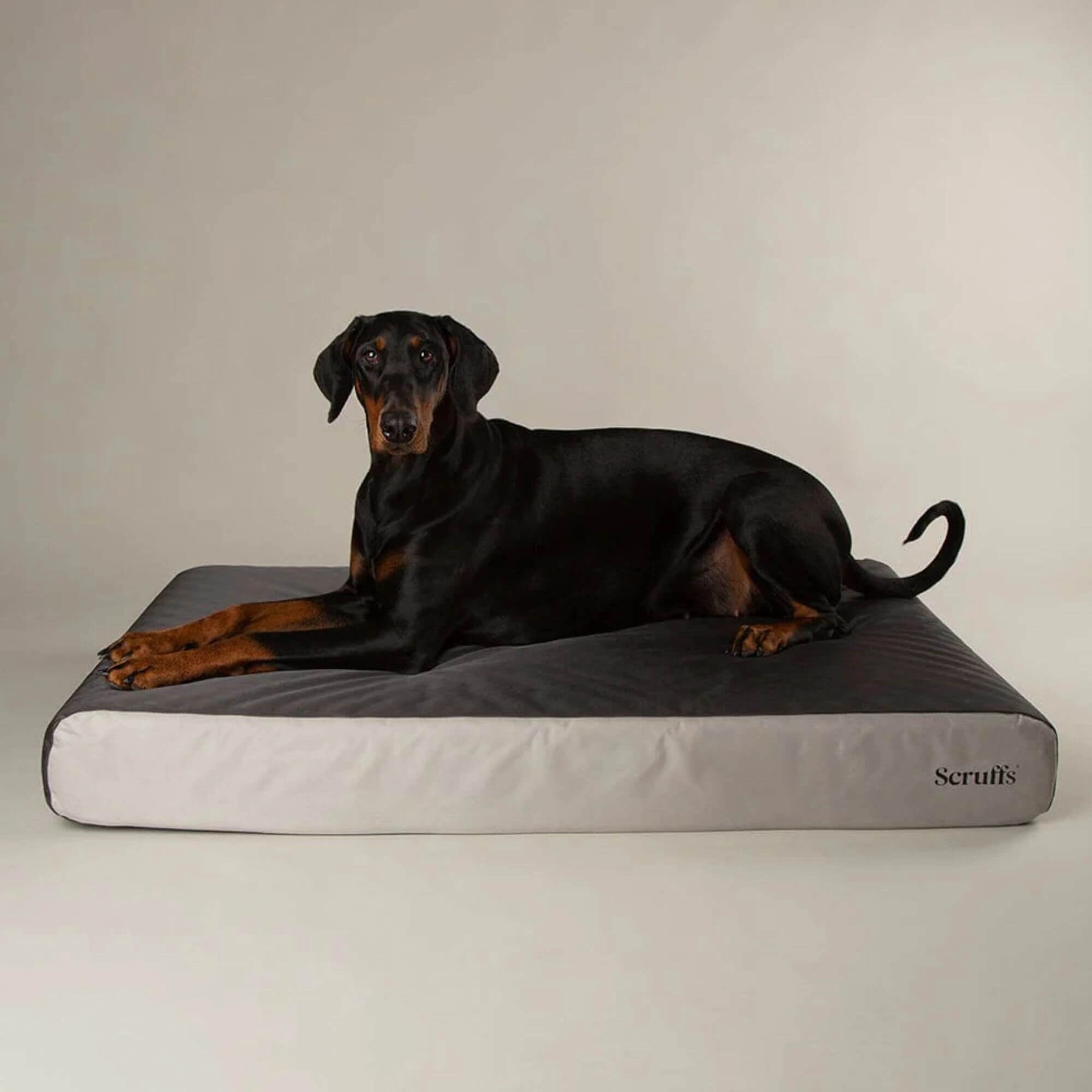 Scruffs ArmourDillo Orthopaedic Dog Bed - Grey