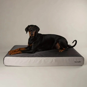 Scruffs ArmourDillo Orthopaedic Dog Bed - Grey