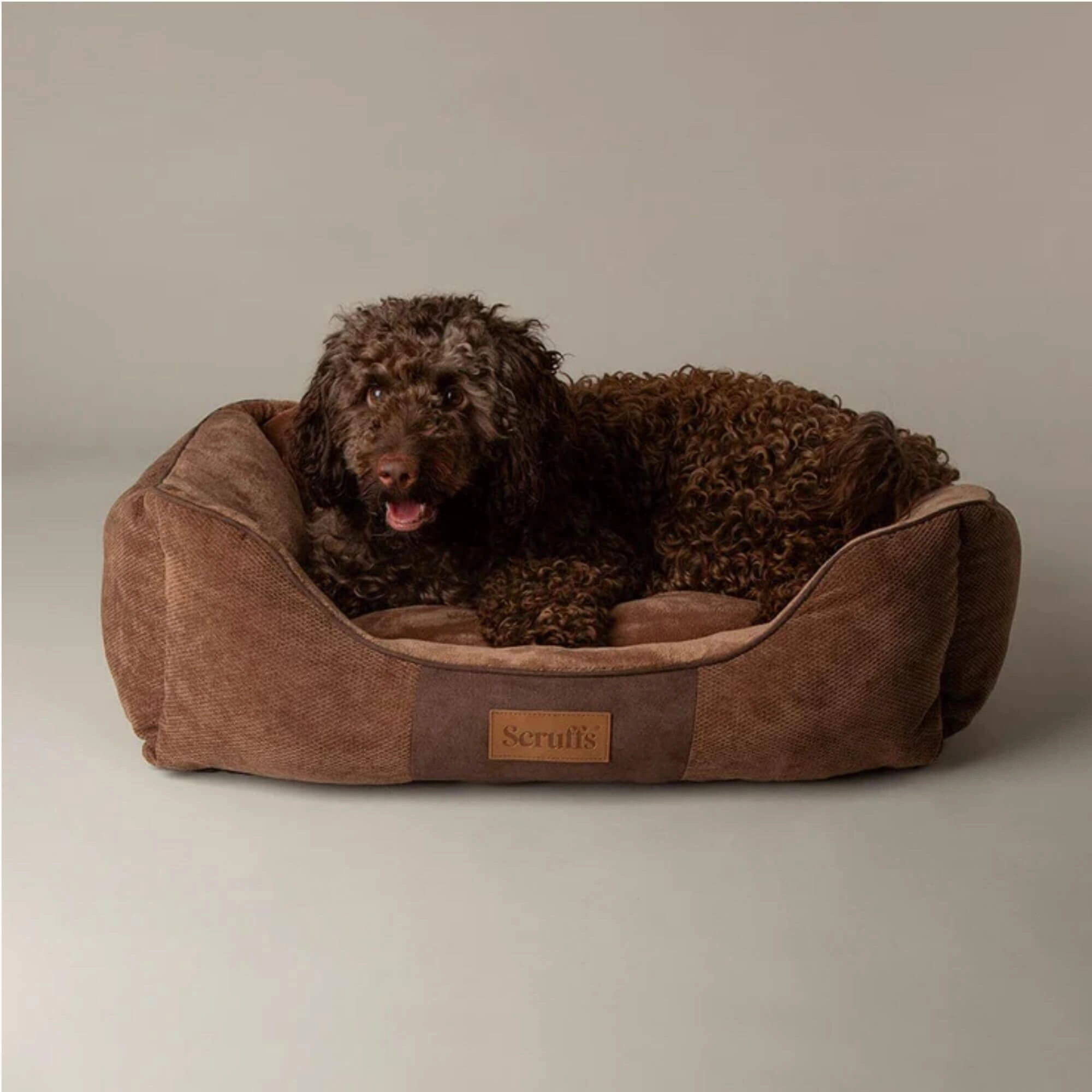 Scruffs Chester Box Dog Bed