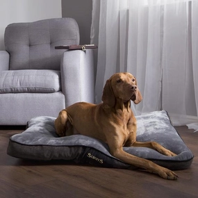 Scruffs Chester Dog Mattress