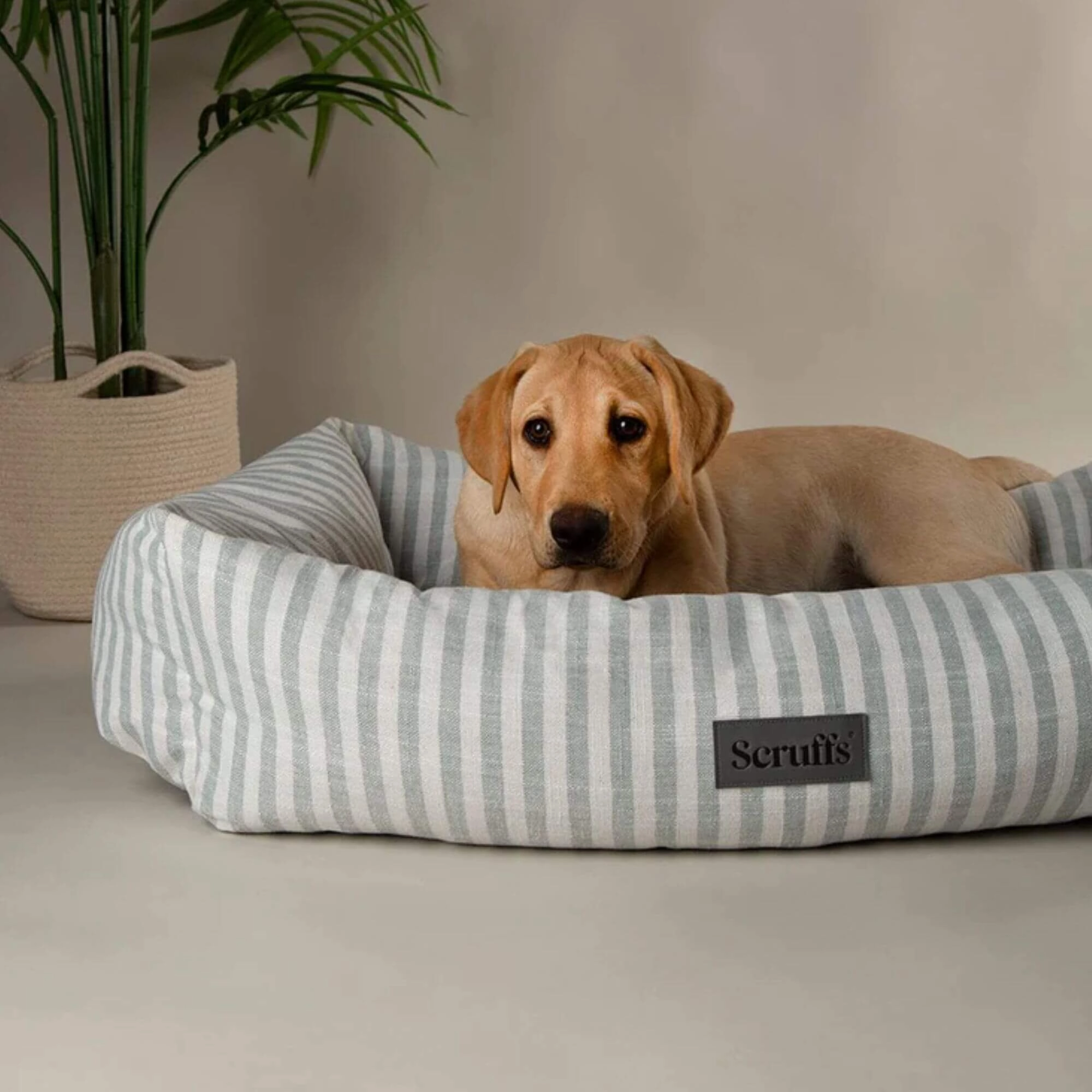 Scruffs Coastal Box Dog Bed