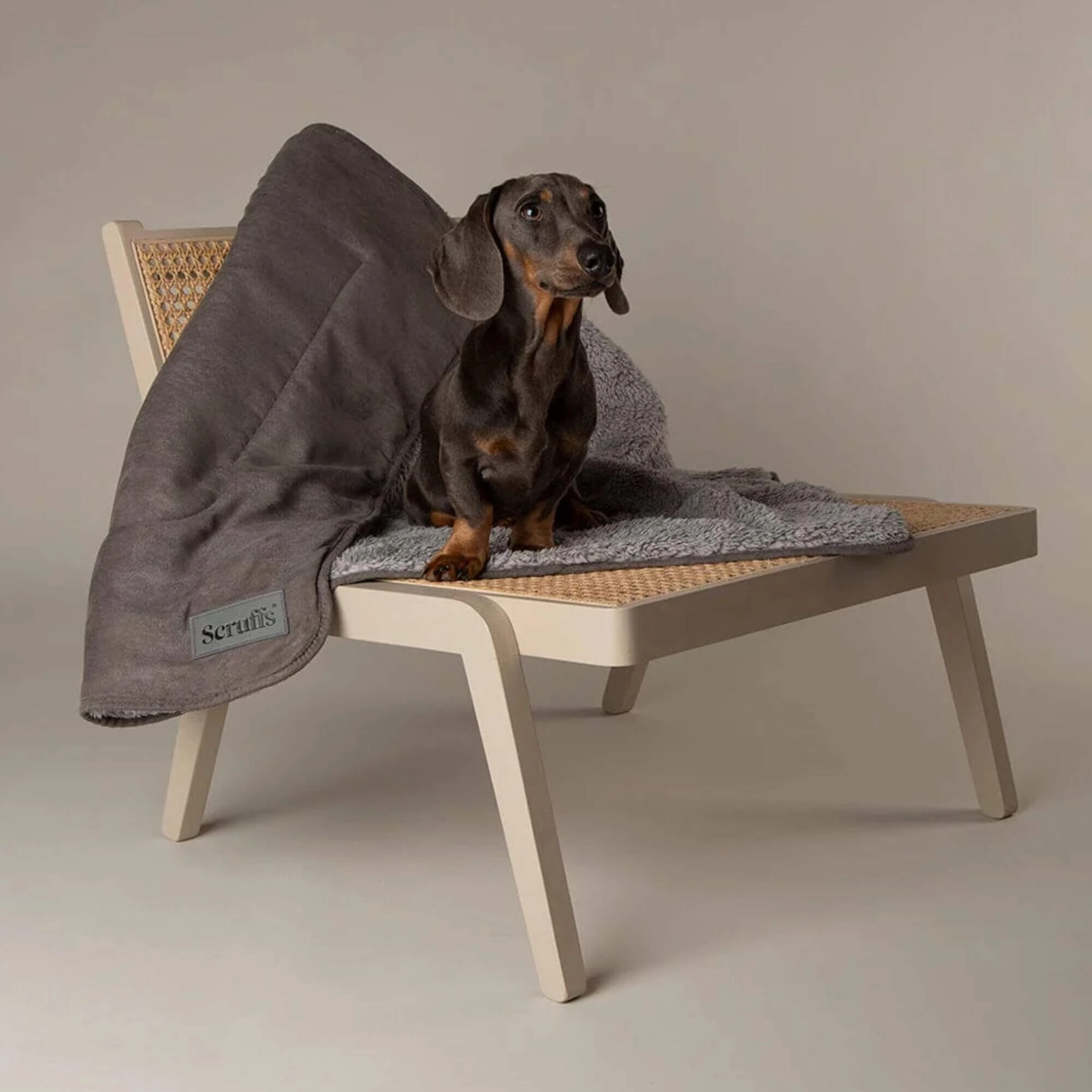 Scruffs Cosy Dog Blanket - Grey