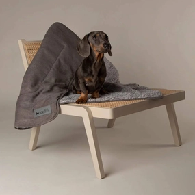 Scruffs Cosy Dog Blanket - Grey