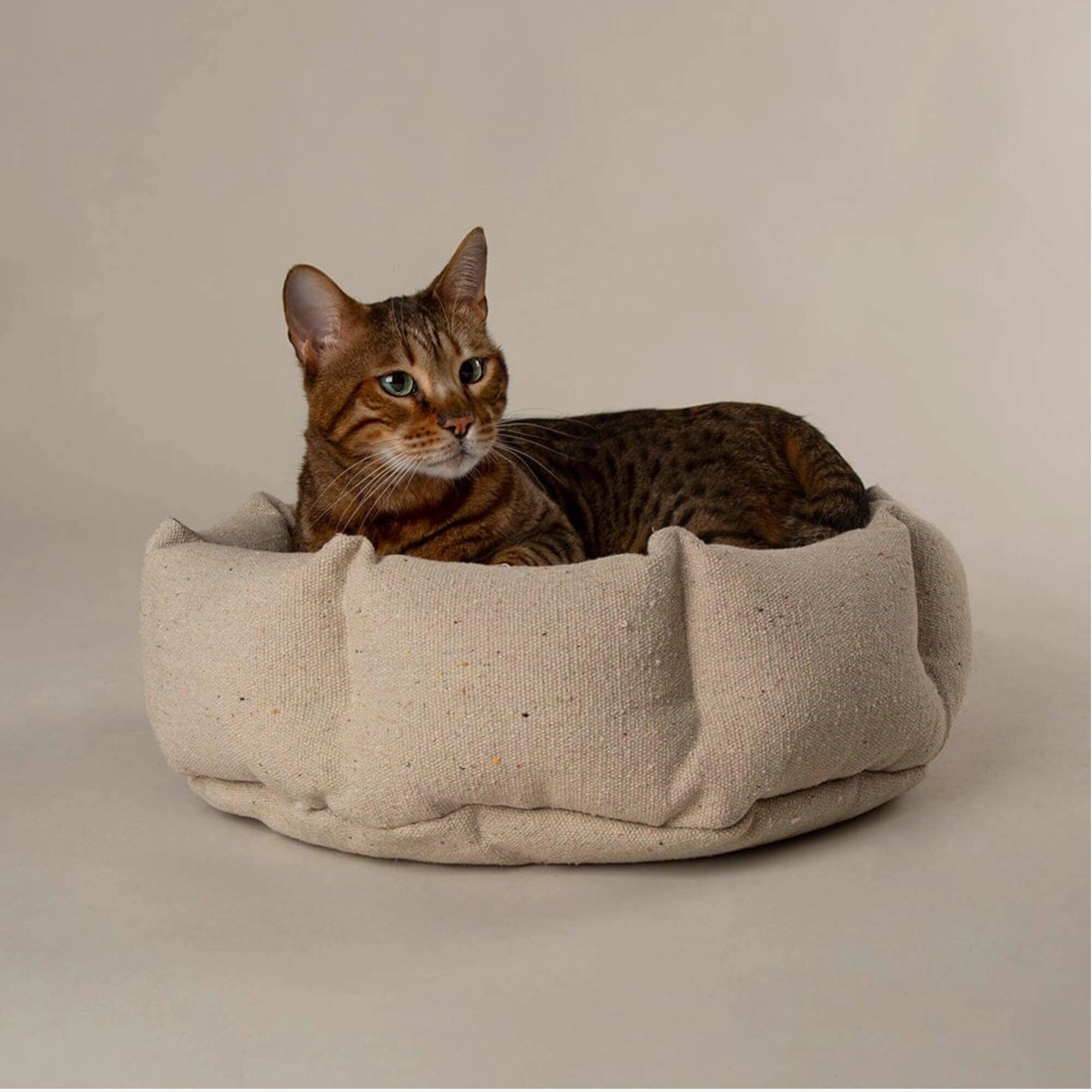 Scruffs Eden Cat Bed