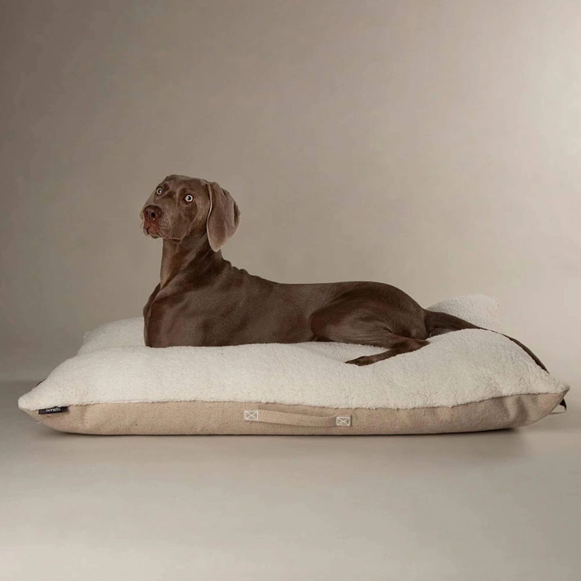 Scruffs Eden Pillow Dog Bed