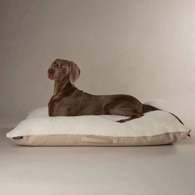 Scruffs Eden Pillow Dog Bed