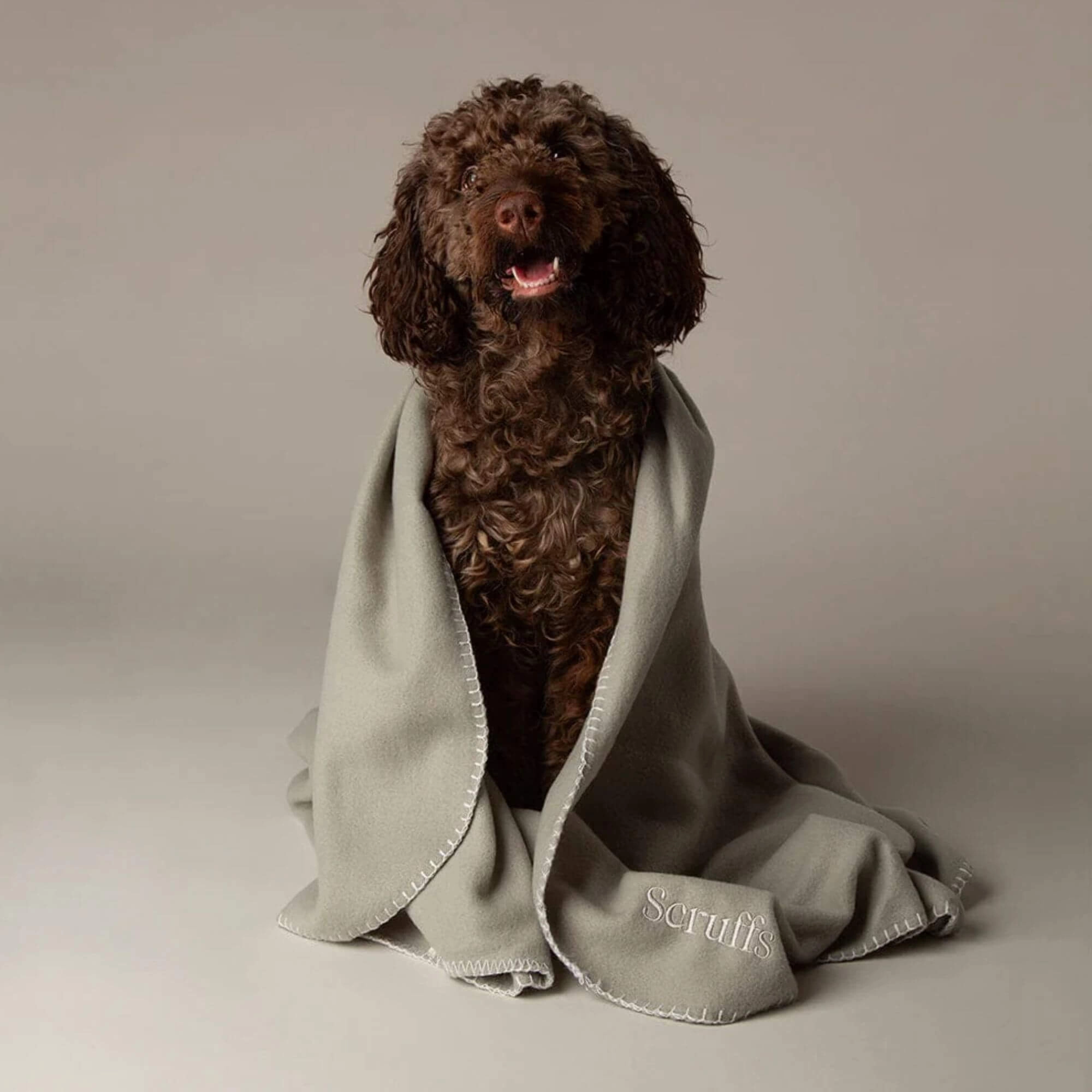 Scruffs Expedition Fleece Pet Blanket