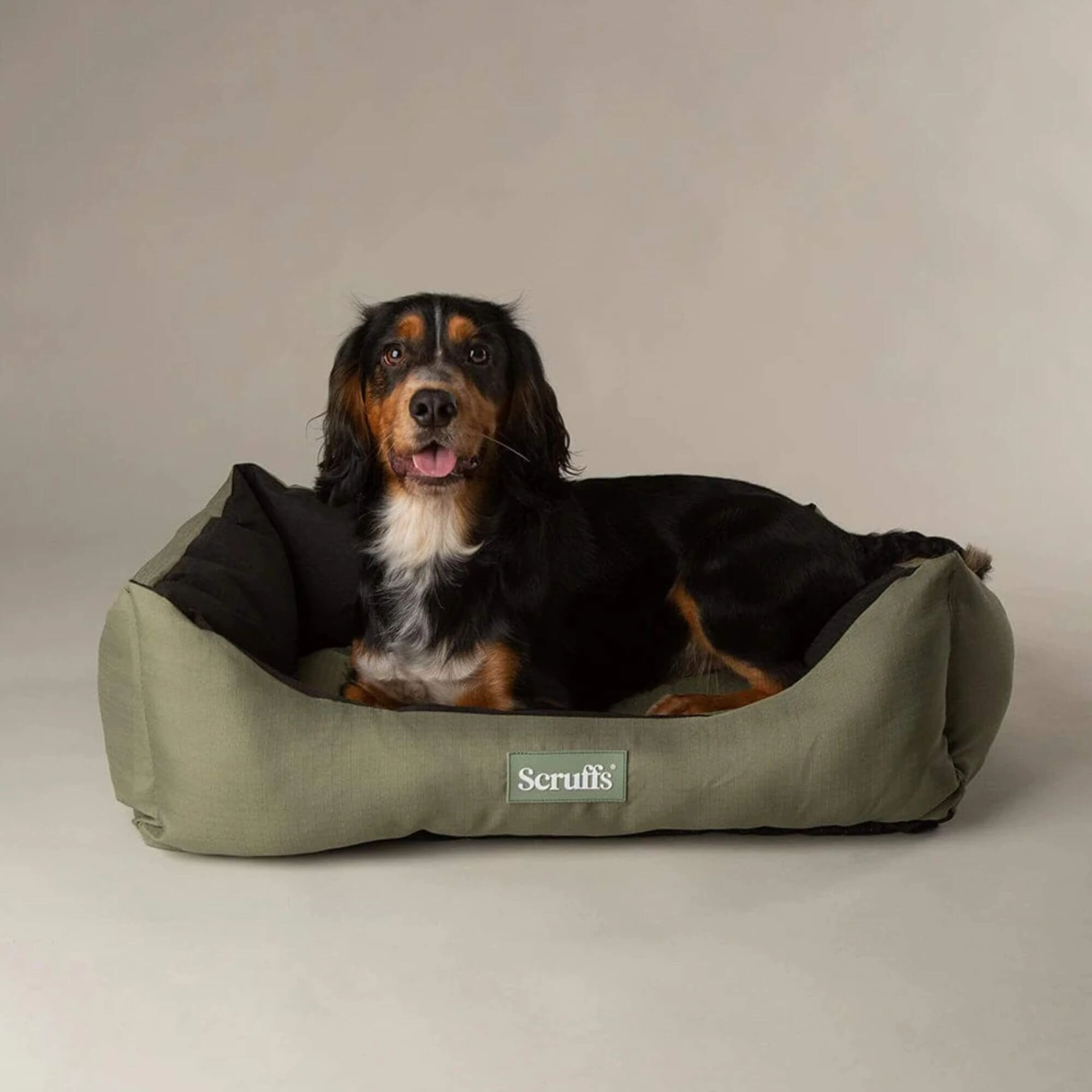 Scruffs Expedition Waterproof Box Bed