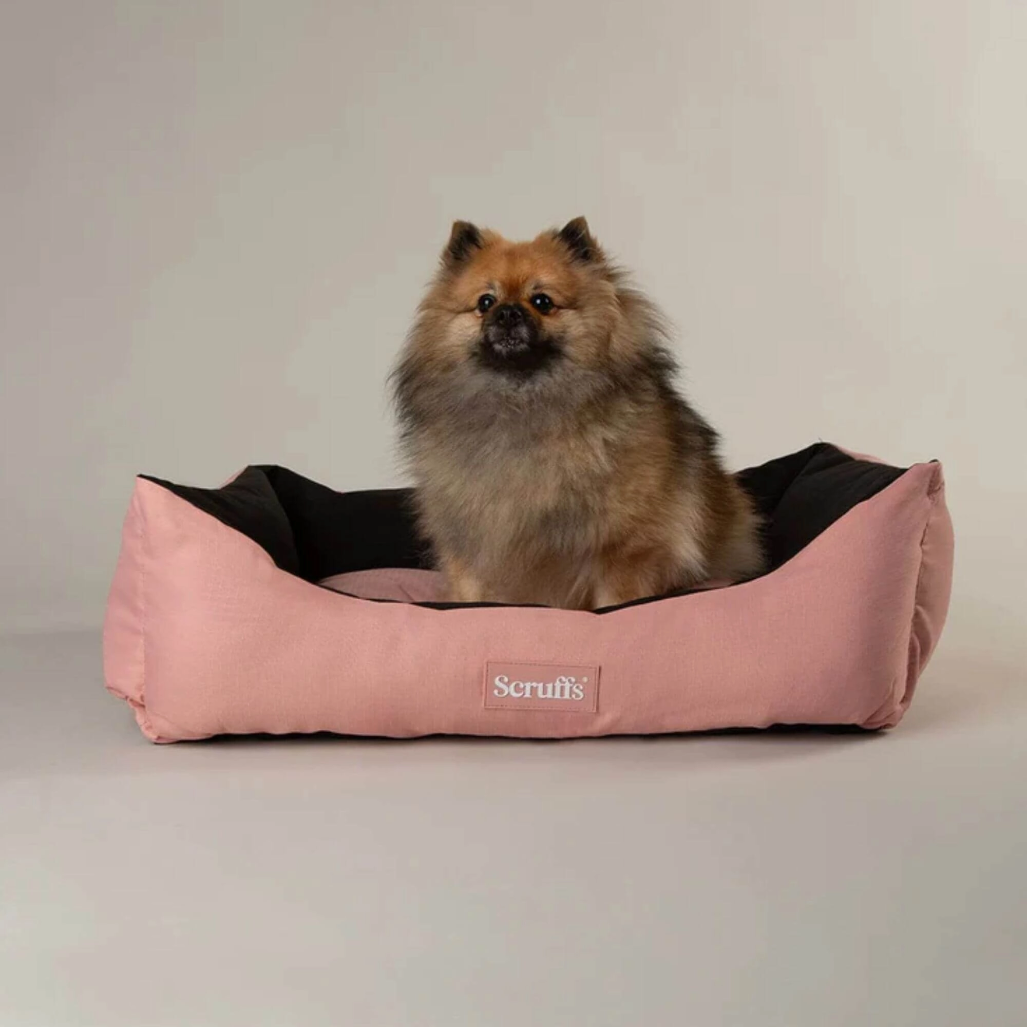 Scruffs Expedition Waterproof Box Bed