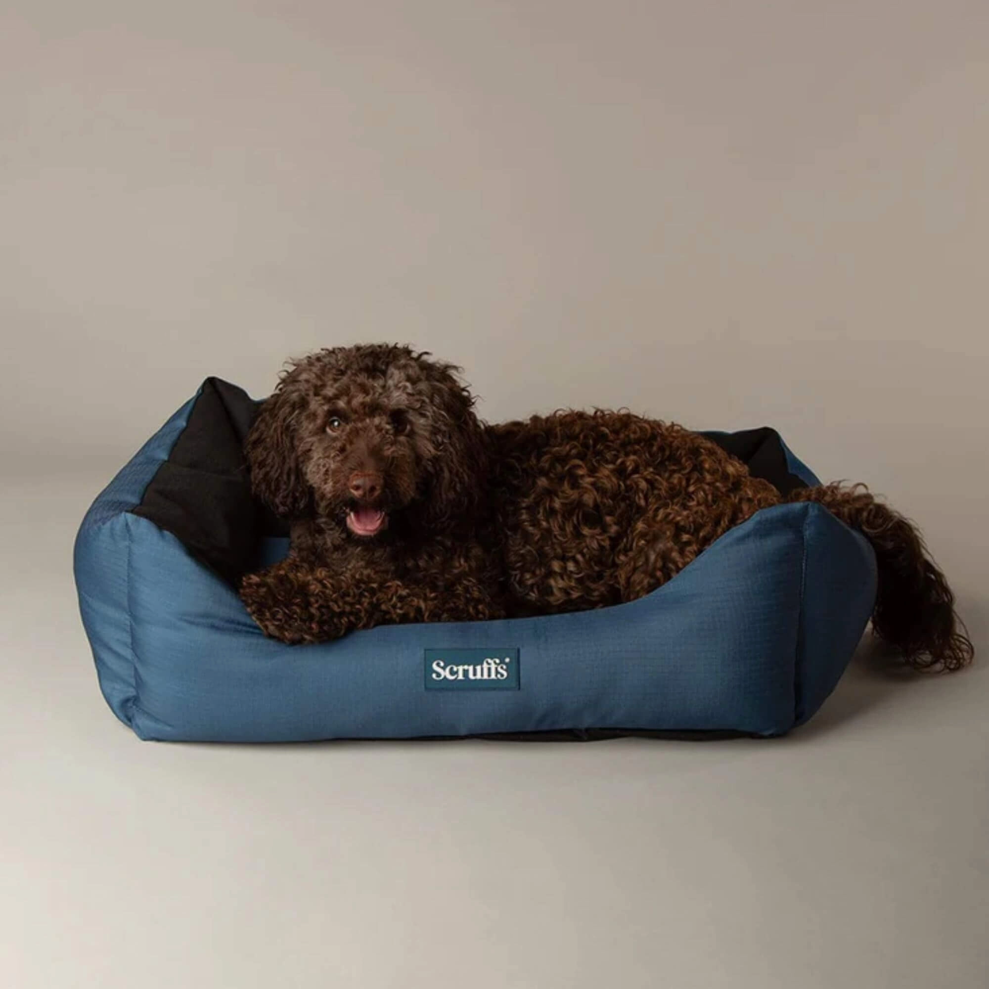 Scruffs Expedition Waterproof Box Bed