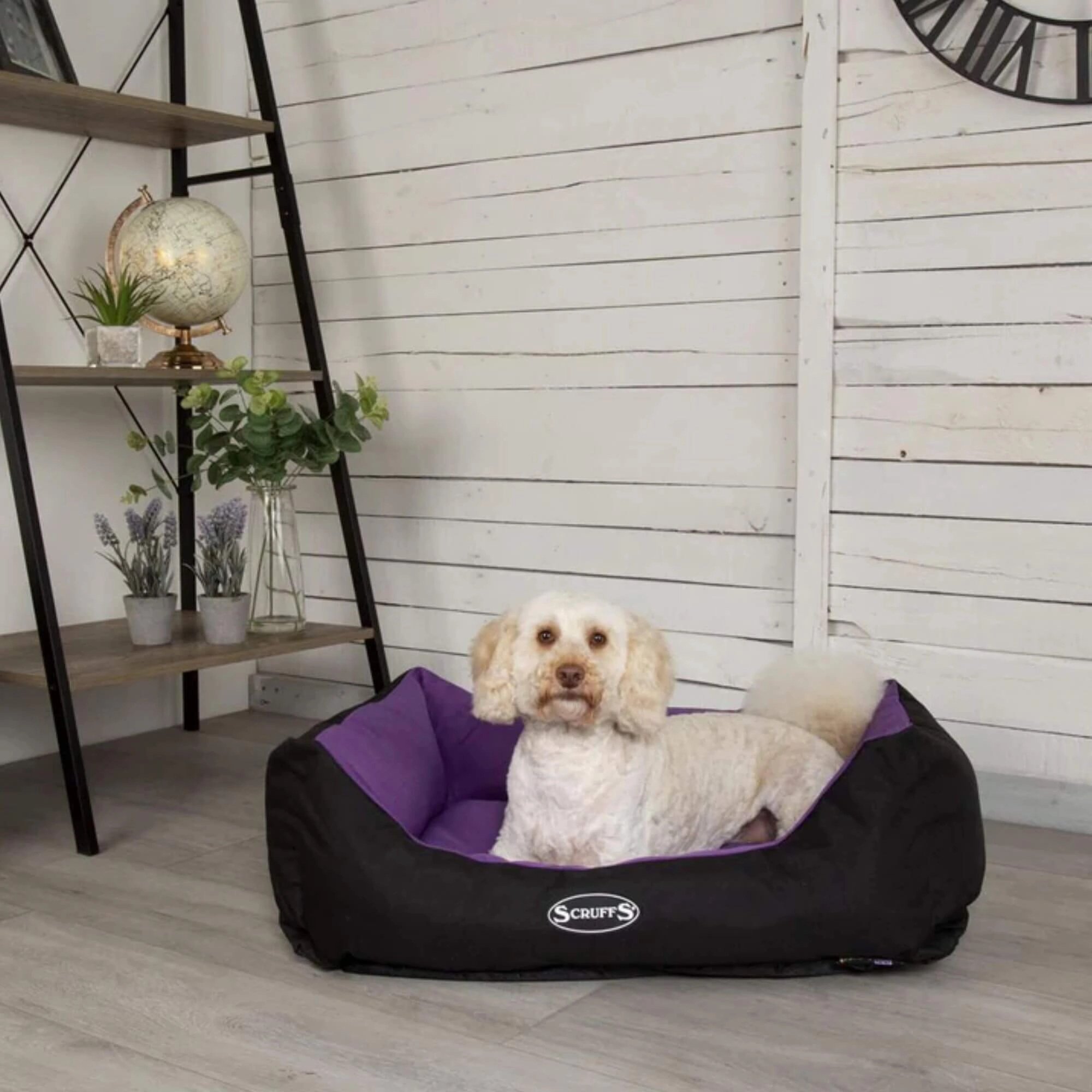 Scruffs Expedition Waterproof Box Bed