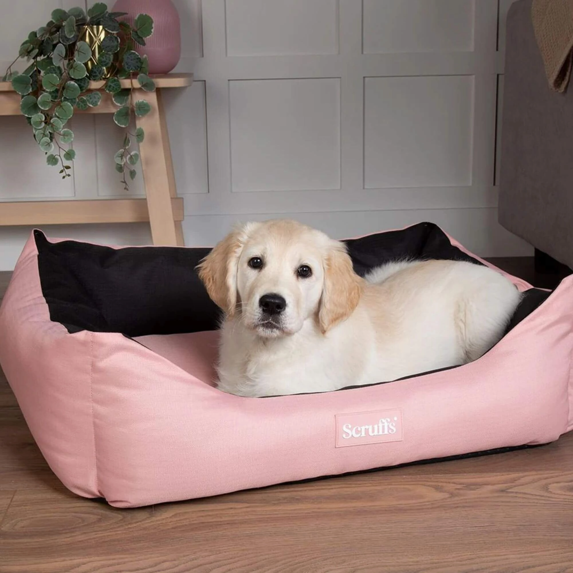 Scruffs Expedition Waterproof Box Bed