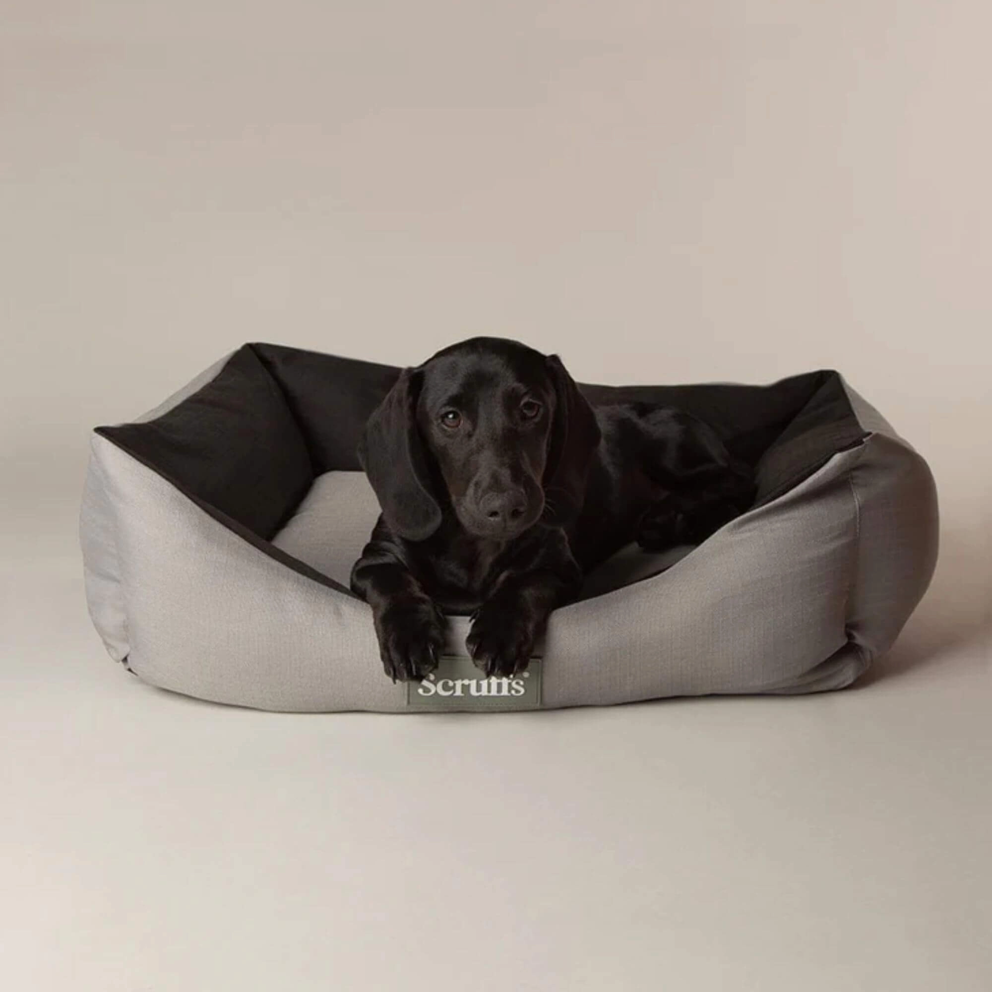 Scruffs Expedition Waterproof Box Bed