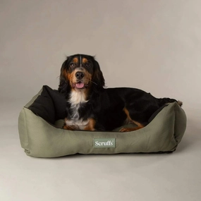 Scruffs Expedition Waterproof Box Bed