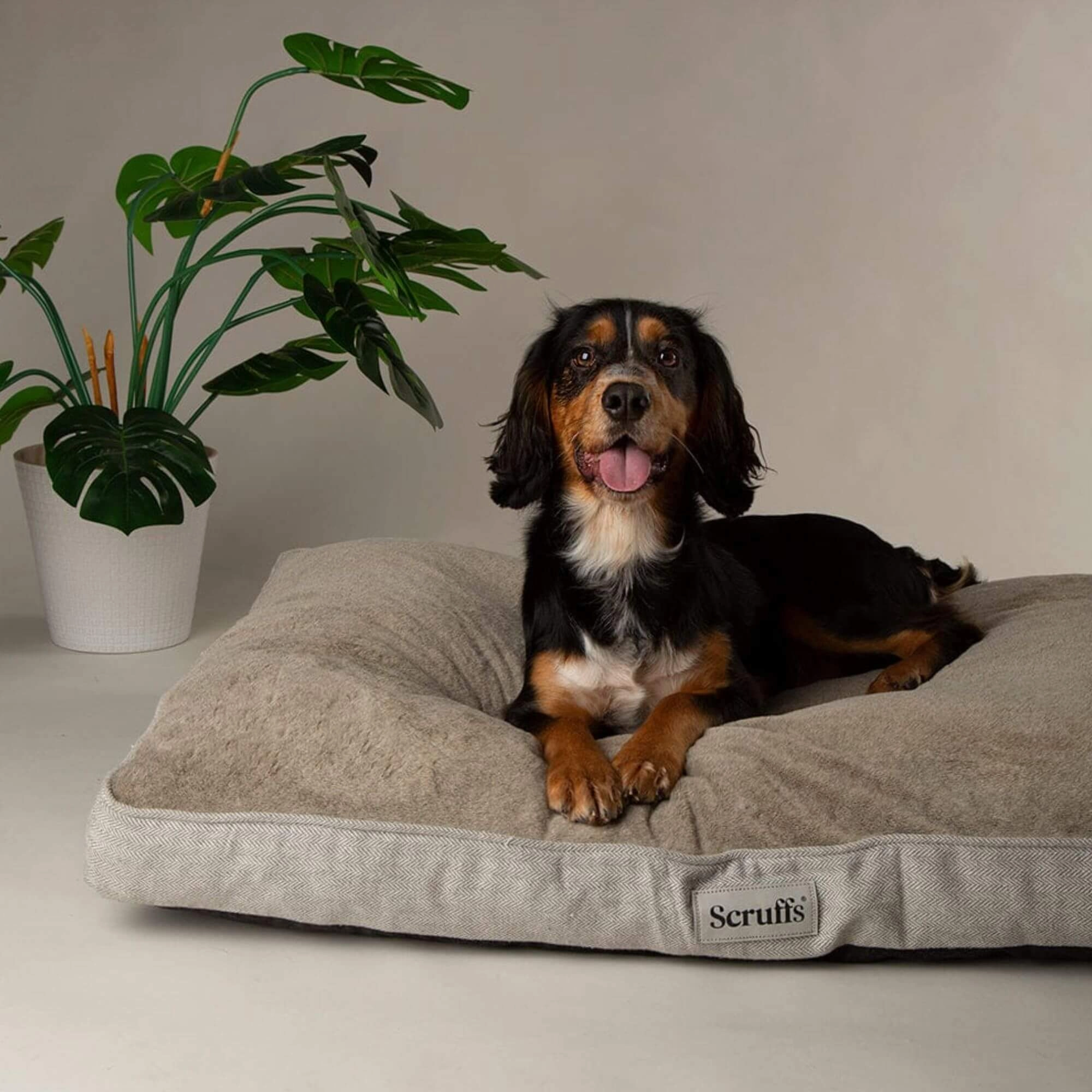 Scruffs Harvard Memory Foam Mattress