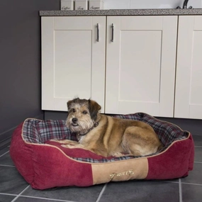 Scruffs Highland Box Bed