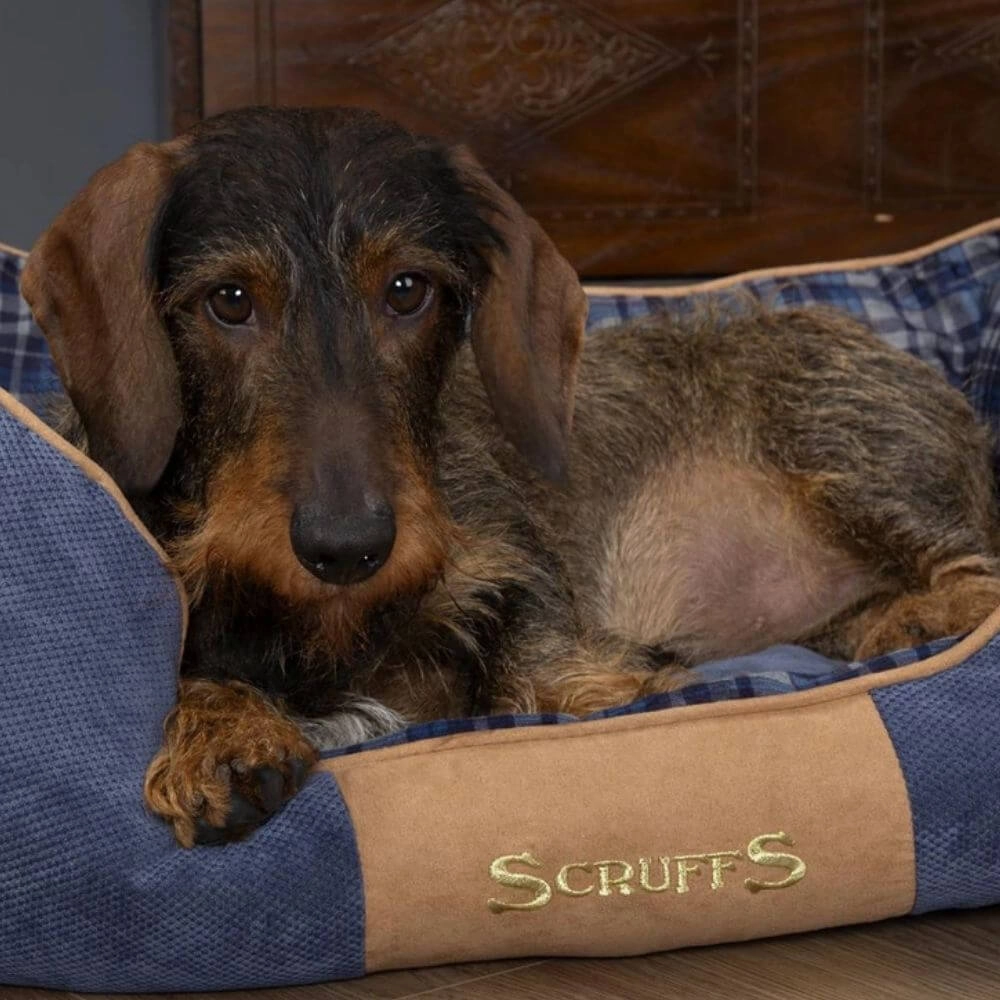 Scruffs Highland Box Bed