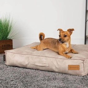 Scruffs Kensington Luxury Dog Mattress