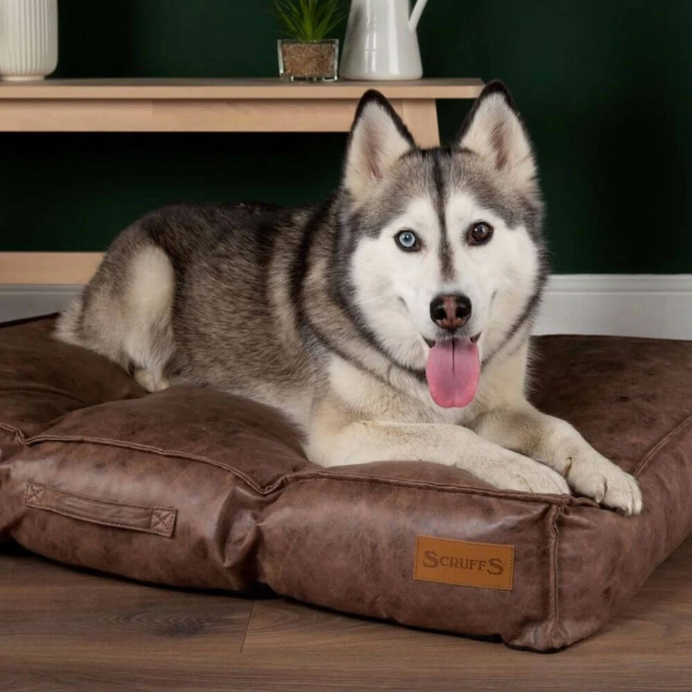 Scruffs Knightsbridge Luxury Dog Mattress