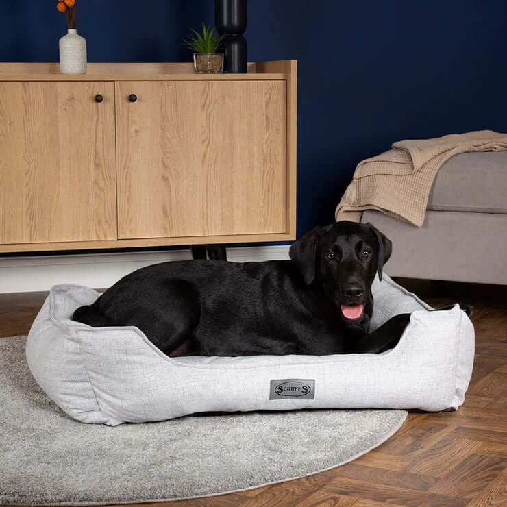 Scruffs Manhattan Dog Box Bed