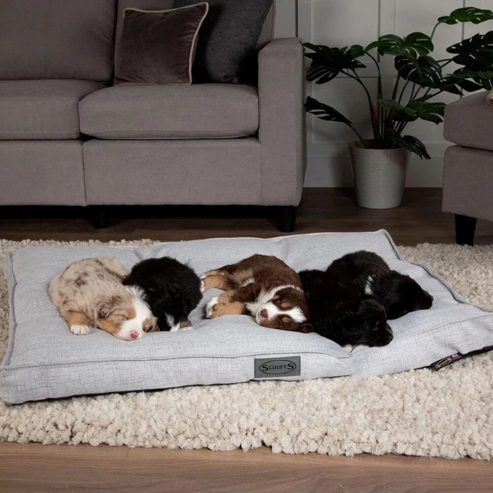 Scruffs Manhattan Dog Mattress
