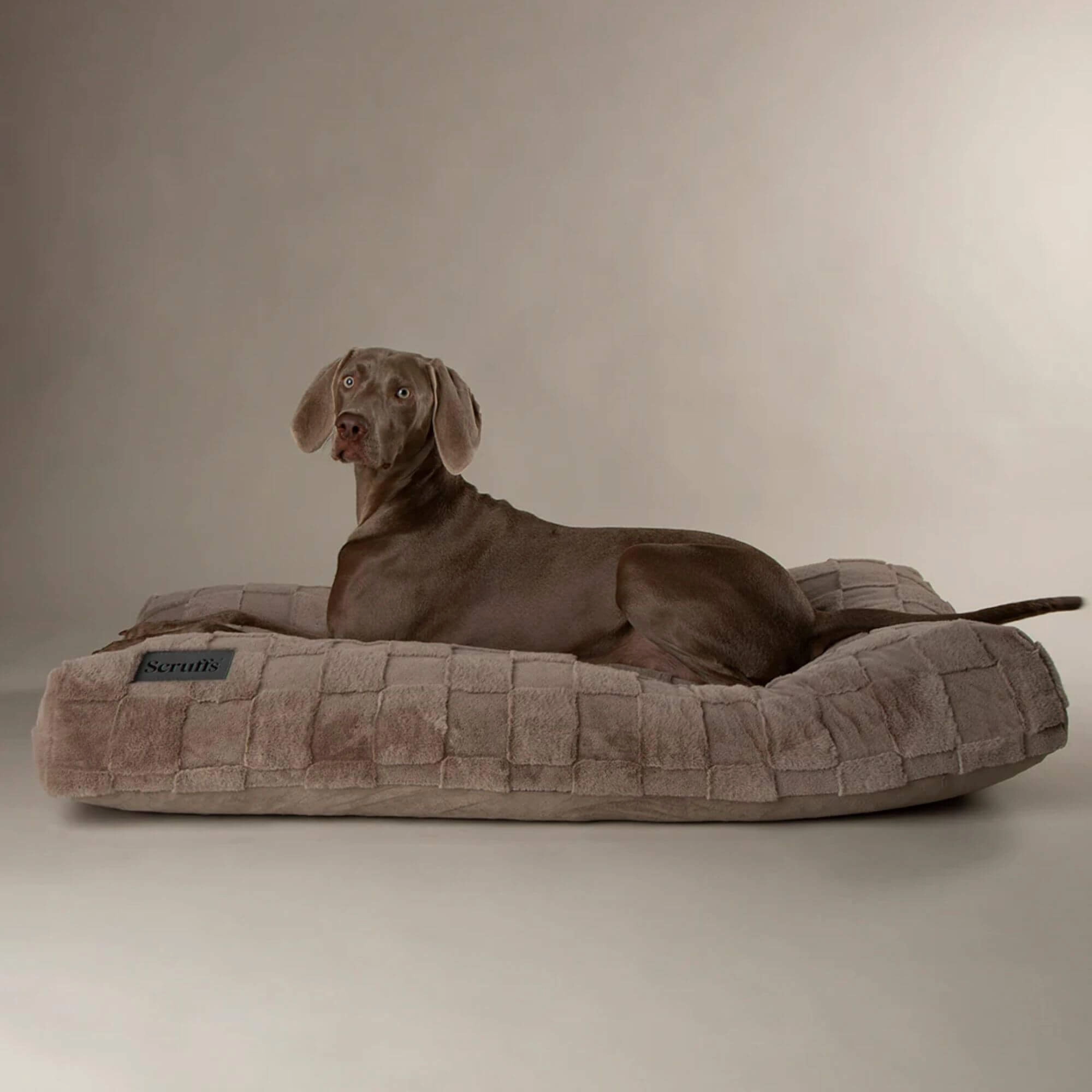 Scruffs Oxford Orthopaedic Mattress Dog Bed