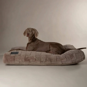 Scruffs Oxford Orthopaedic Mattress Dog Bed