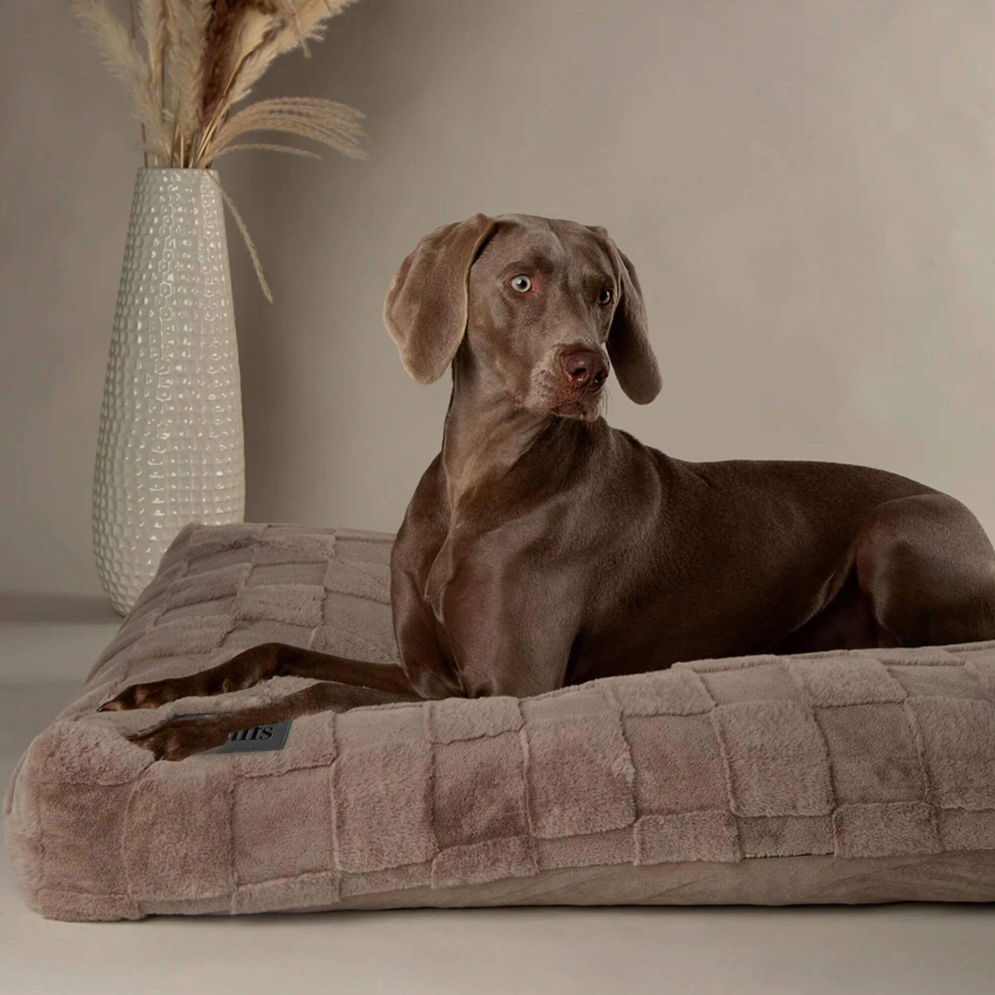 Scruffs Oxford Orthopaedic Mattress Dog Bed