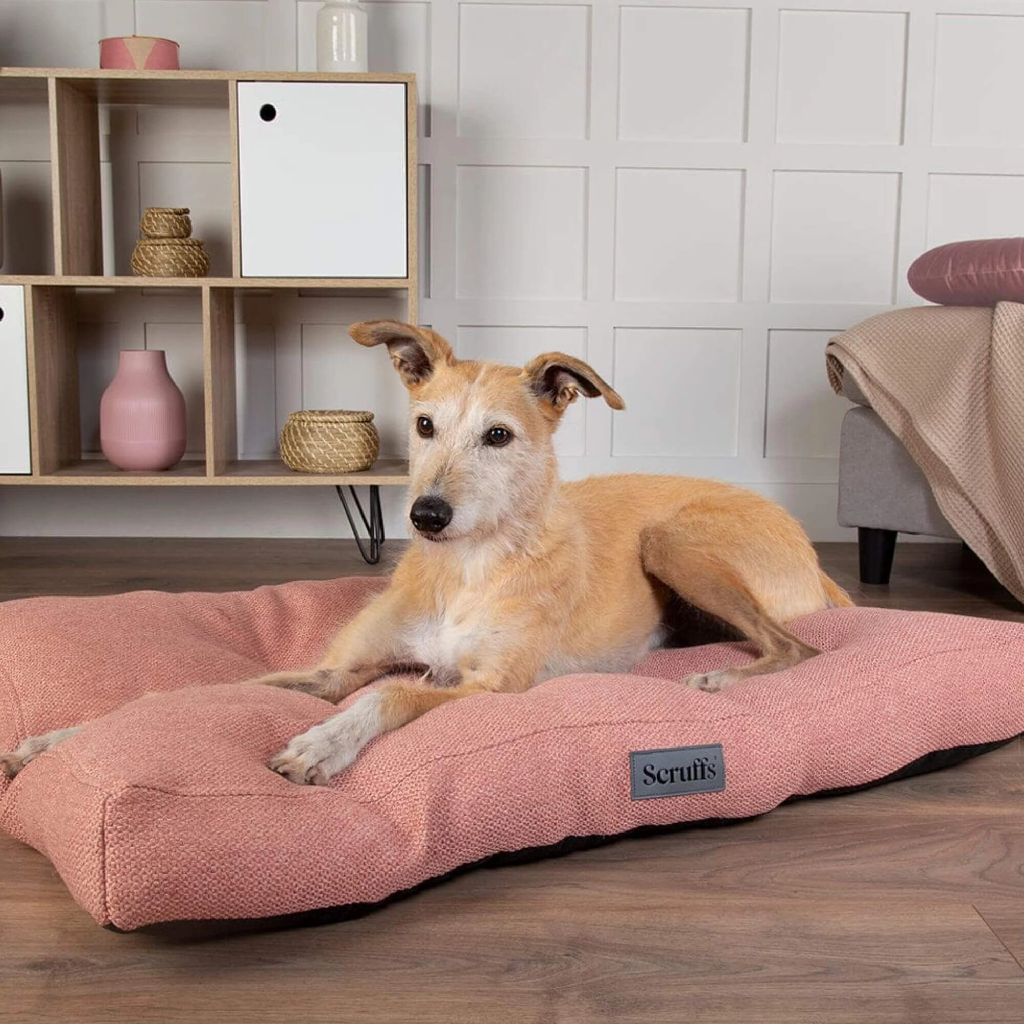 Scruffs Seattle Mattress Dog Bed