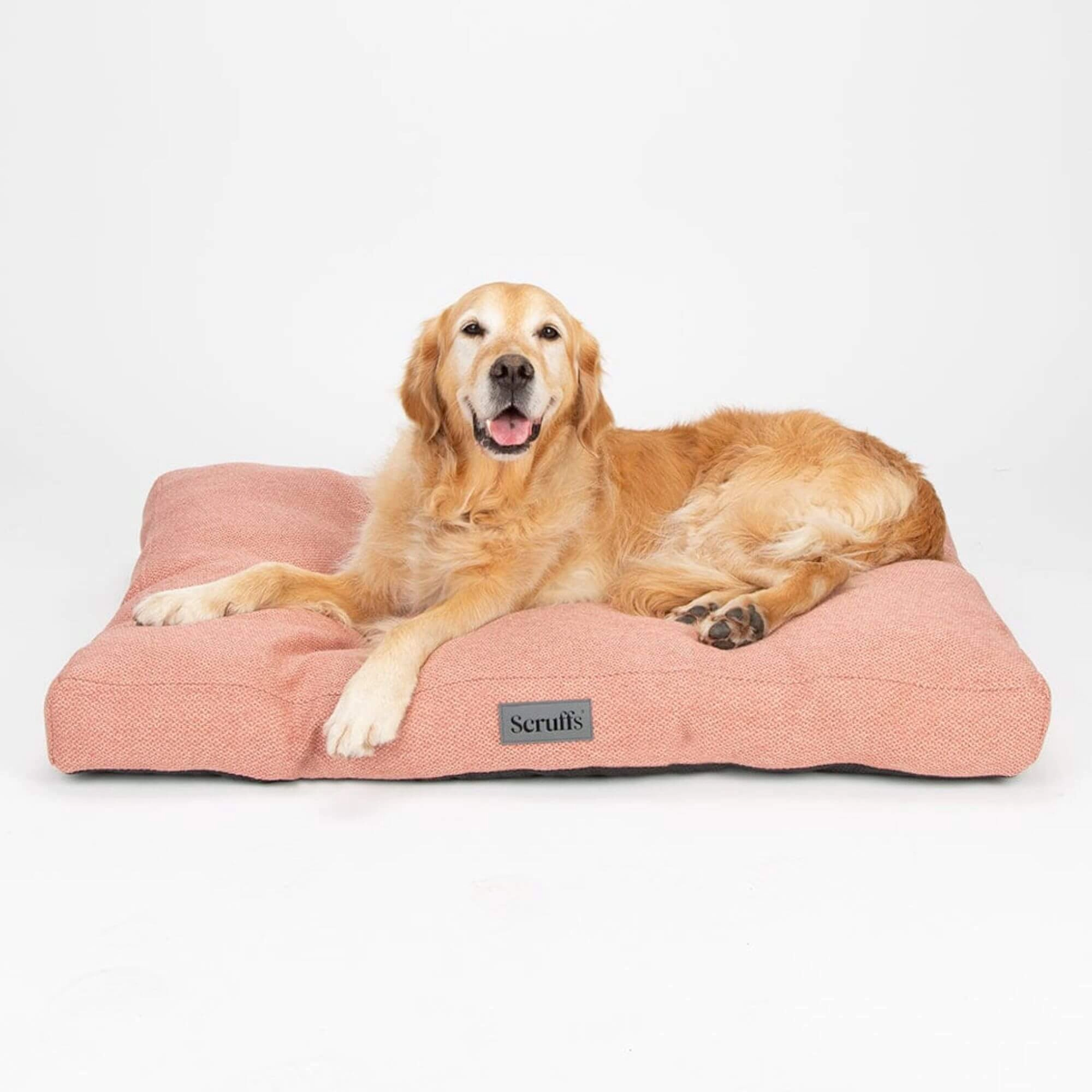 Scruffs Seattle Mattress Dog Bed