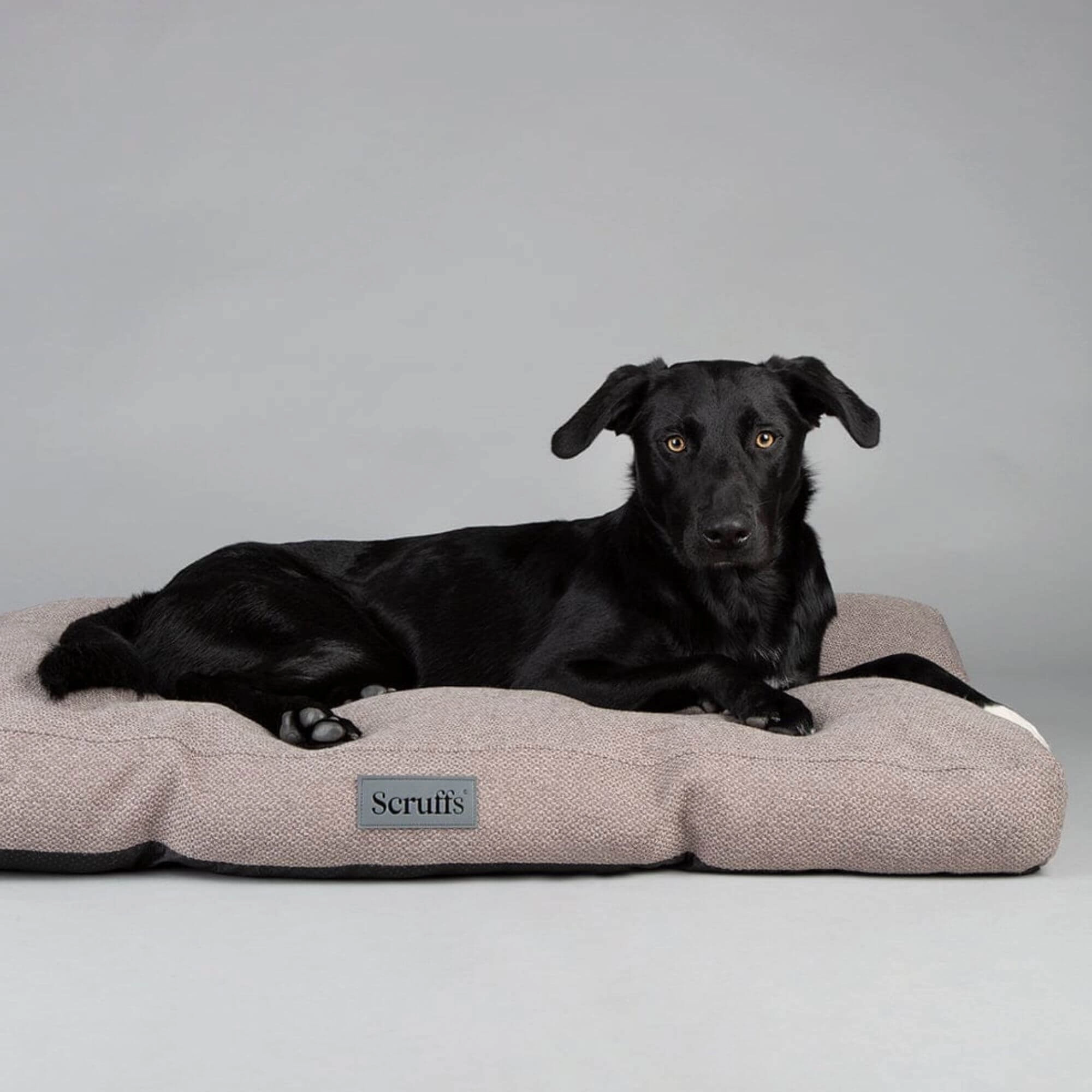 Scruffs Seattle Mattress Dog Bed