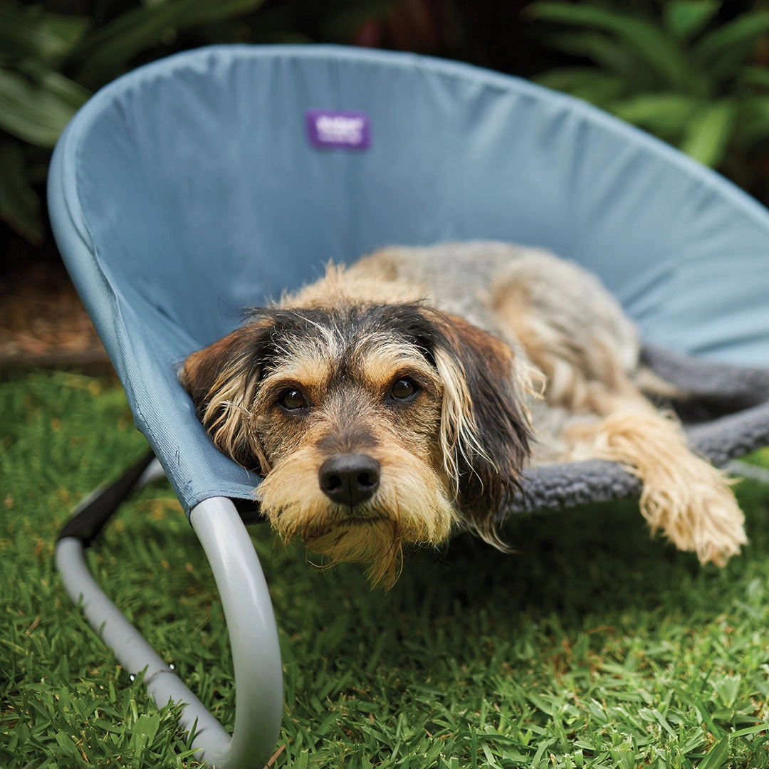 Sleepin' Round Dog Outdoor Bed