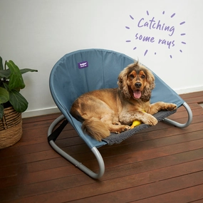 Sleepin' Round Dog Outdoor Bed