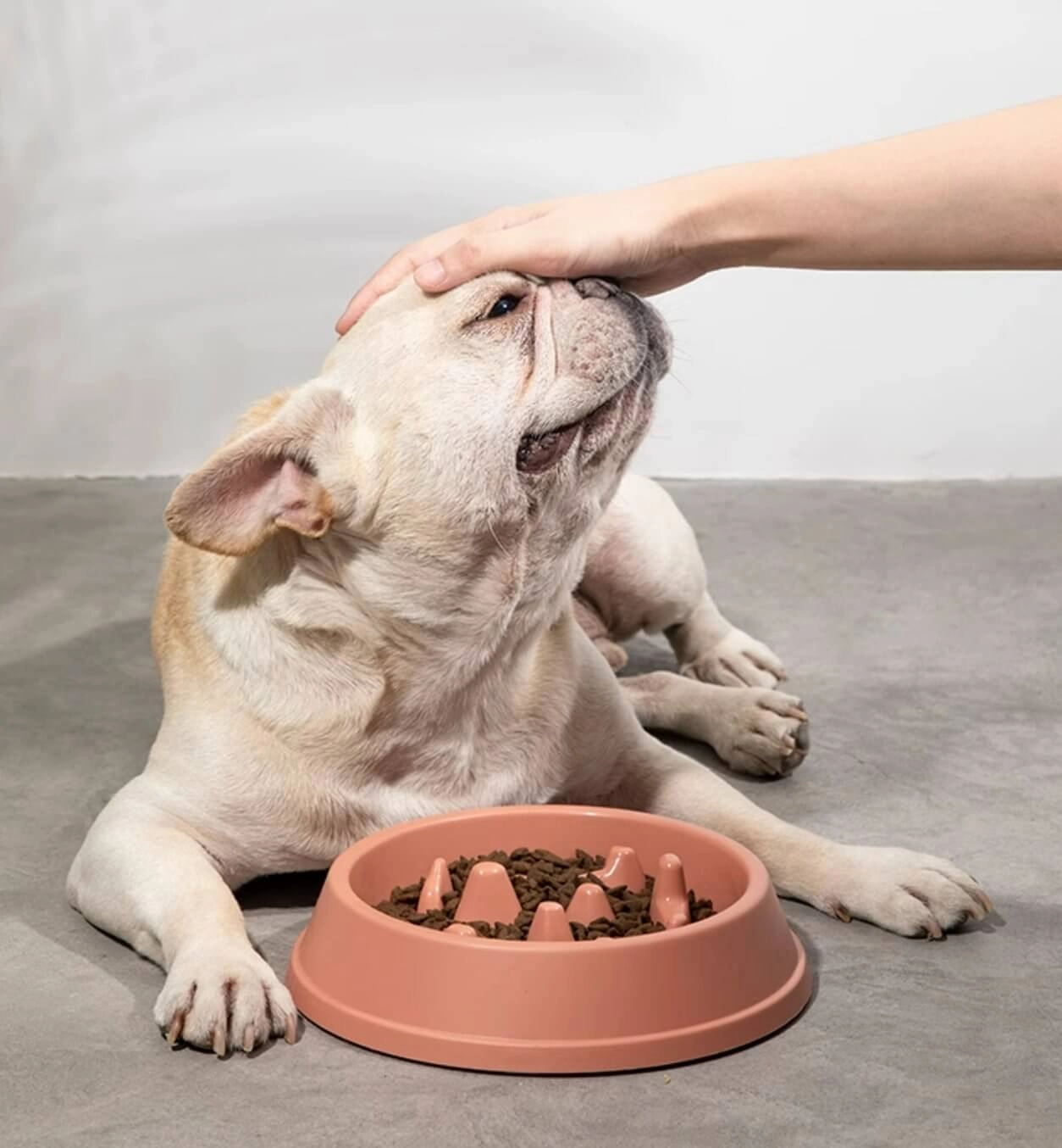 Slow Feeder Dog Food Bowl Interactive Puzzle Pan