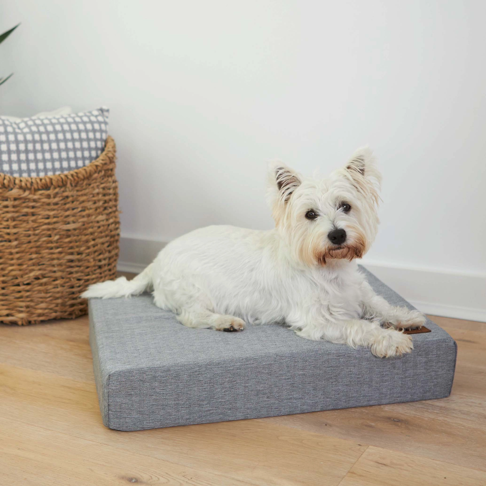 Slumber Dog Bed - Ash