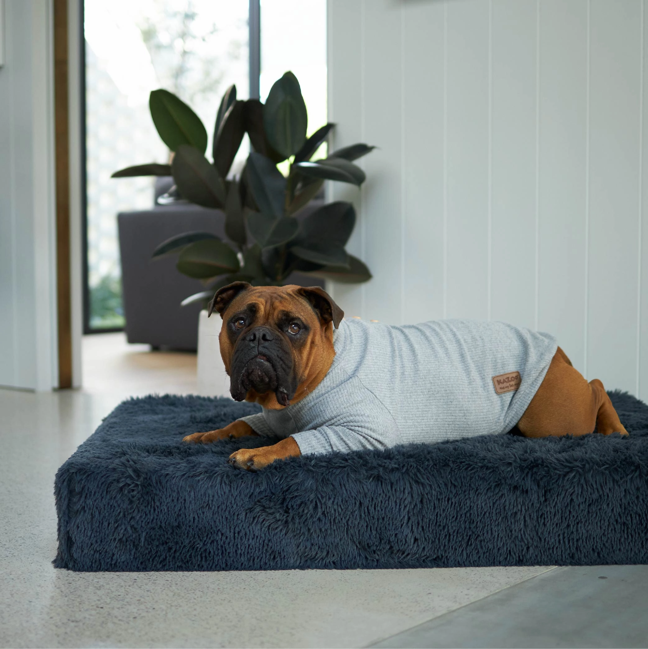 Slumber Dog Bed - Plush Cloudy Grey