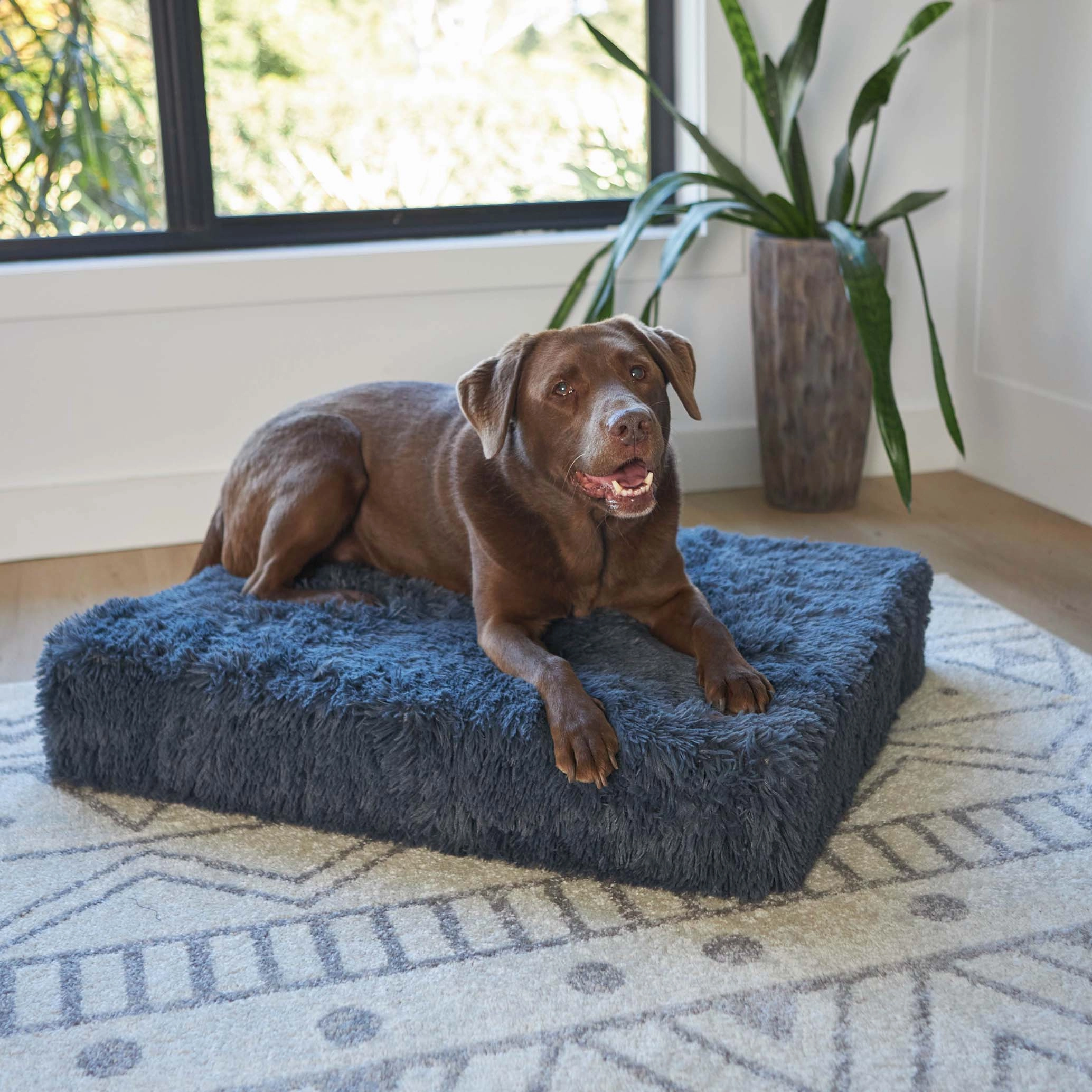 Slumber Dog Bed - Plush Cloudy Grey