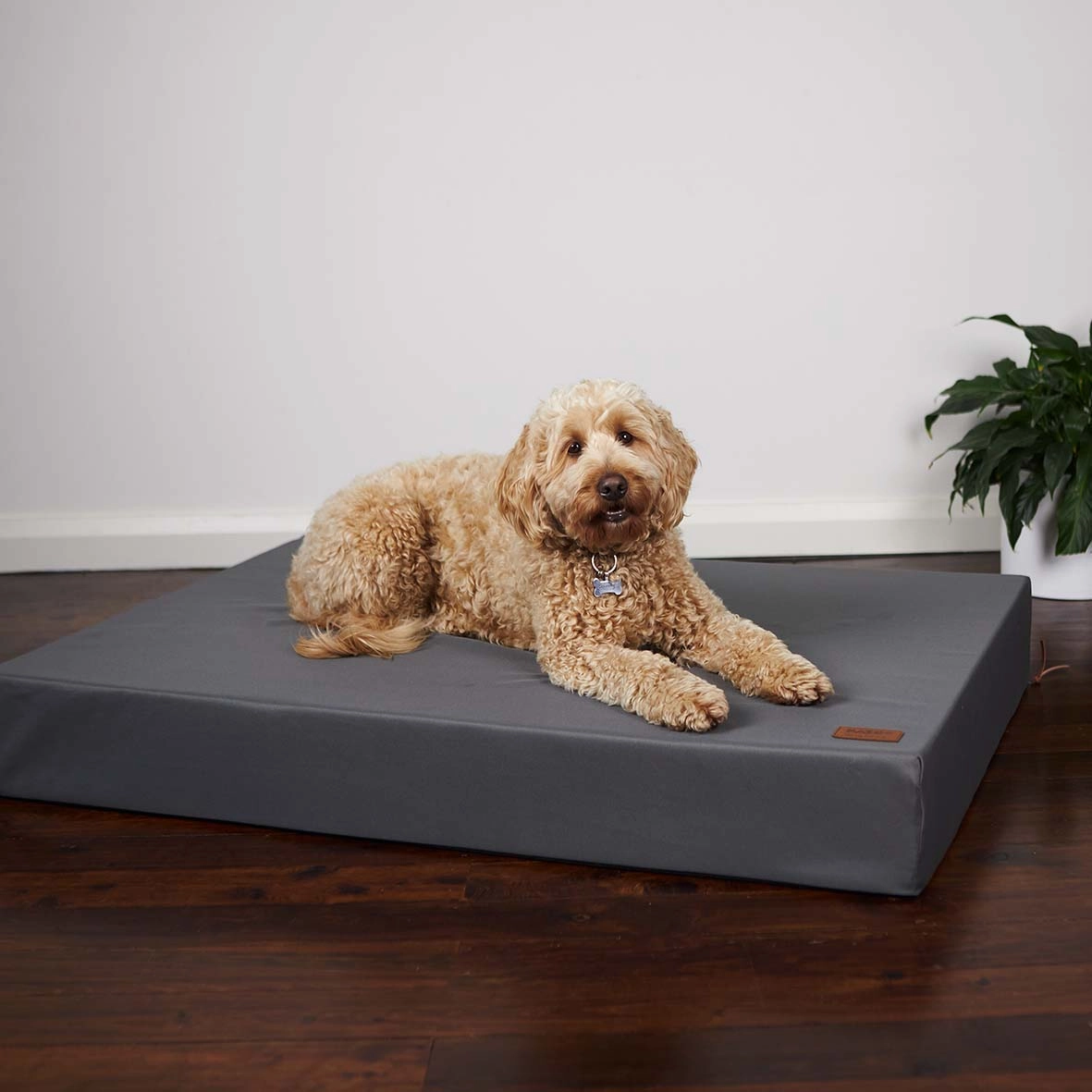 Slumber Dog Bed - Slate