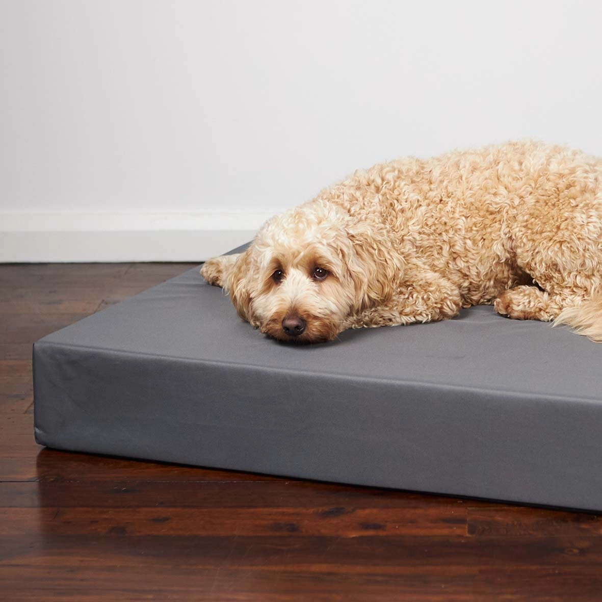 Slumber Dog Bed - Slate