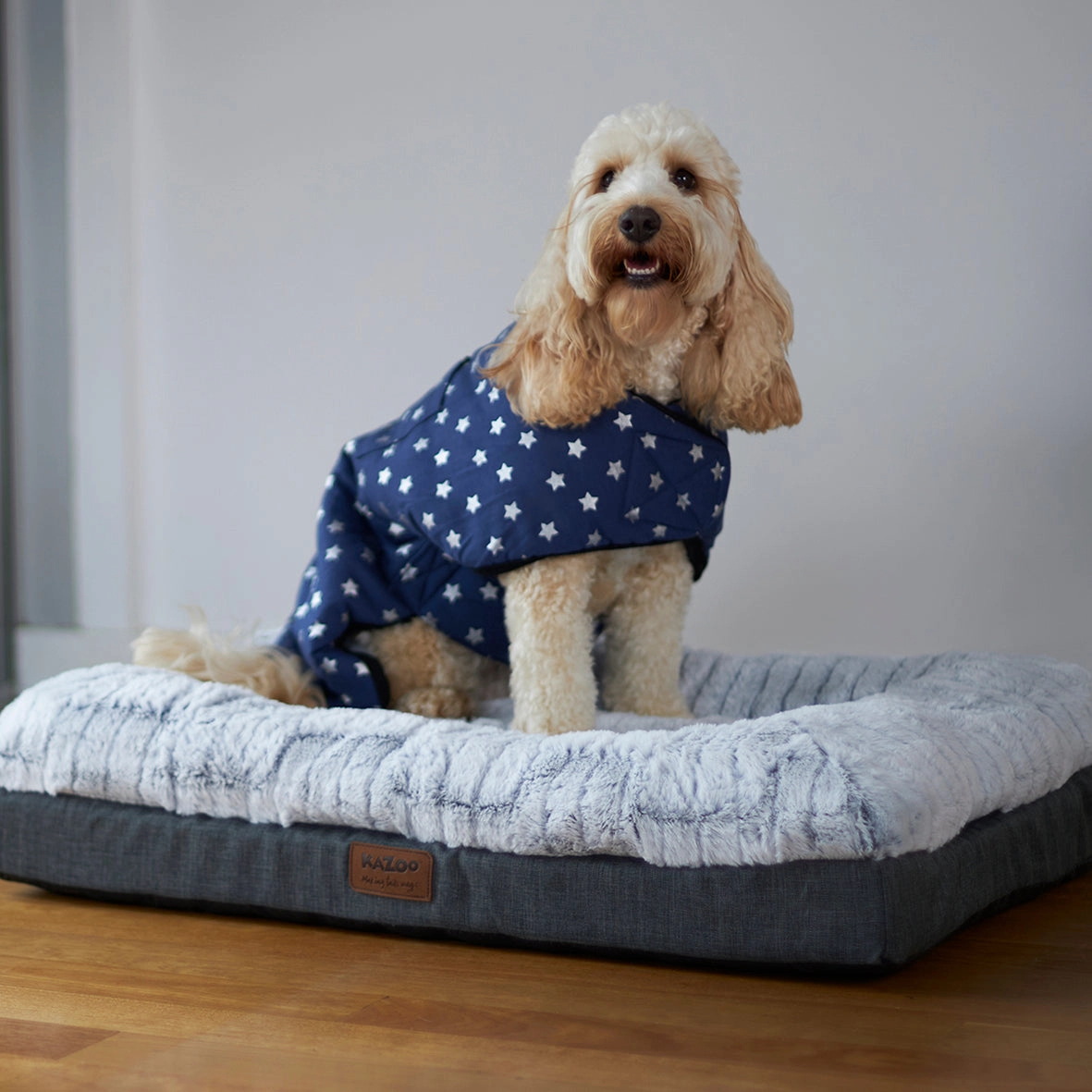 Starbright Dog Snuggie