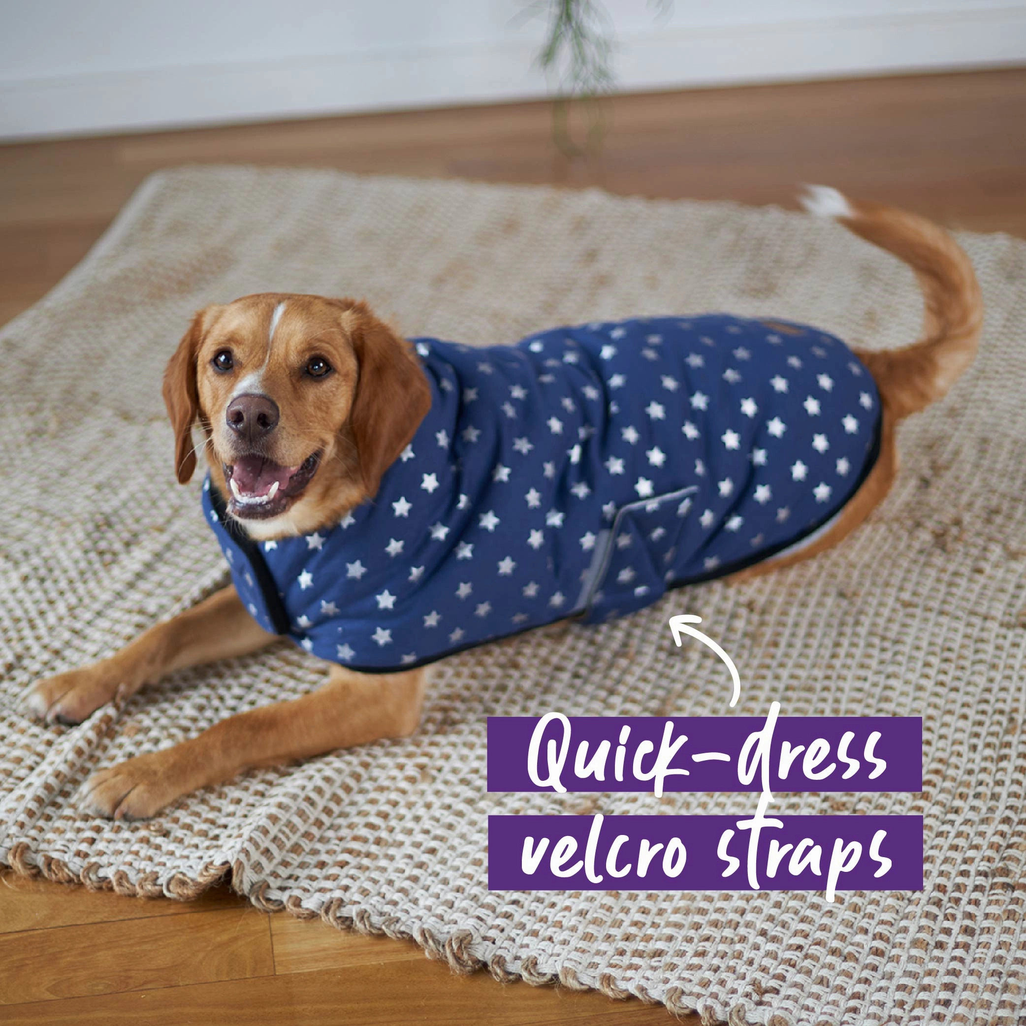 Starbright Dog Snuggie