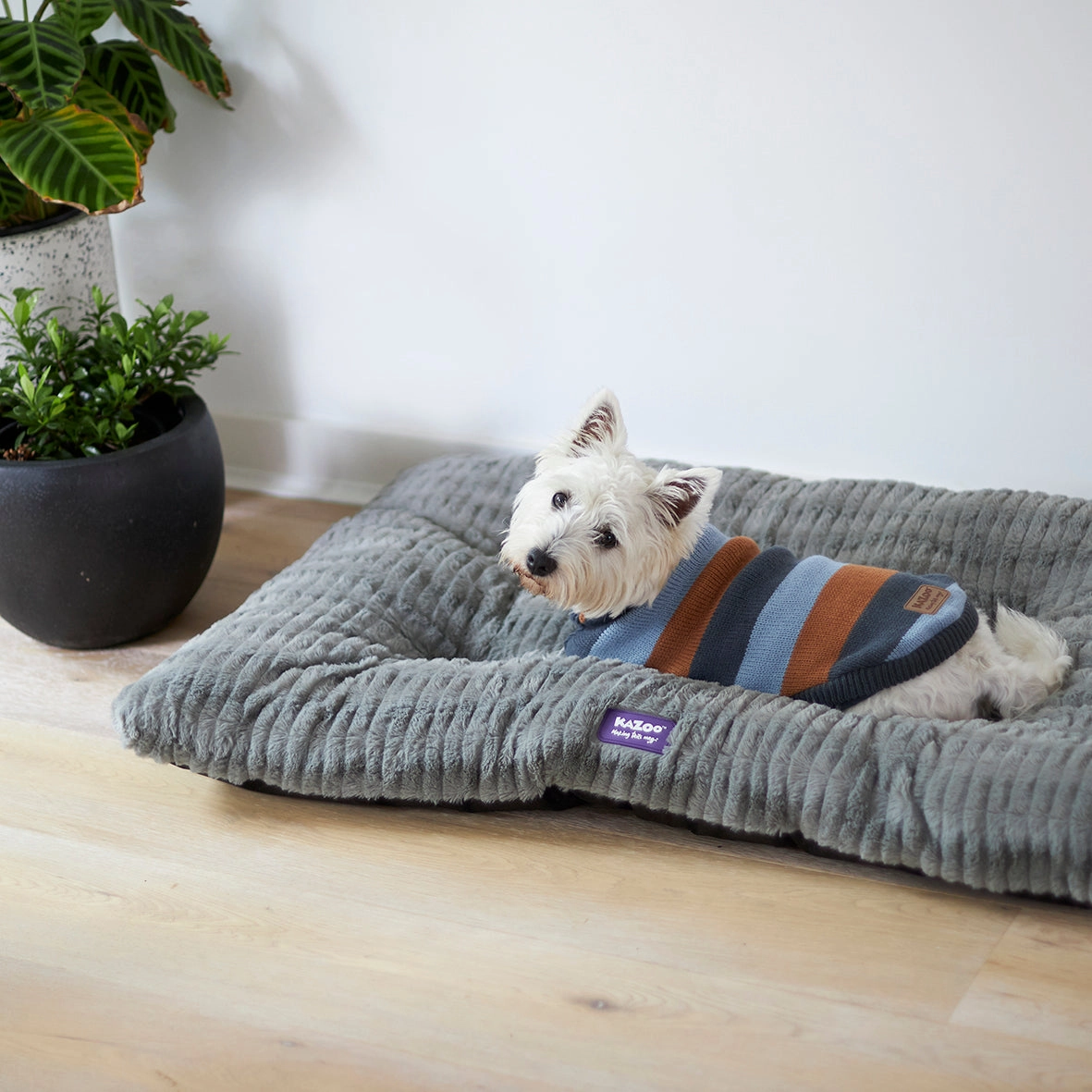 Storm Dog Pillow Bed - Grey