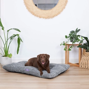 Storm Dog Pillow Bed - Grey